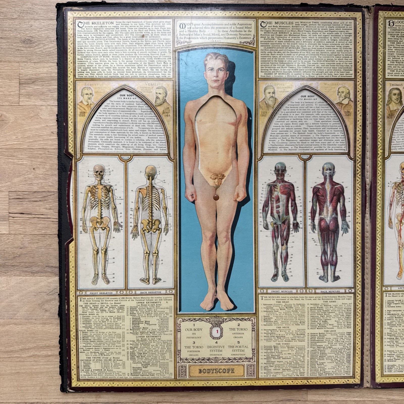 Bodyscope by Ralph H. Segal Human Anatomy Medical Chart and Case 1948 Flaws