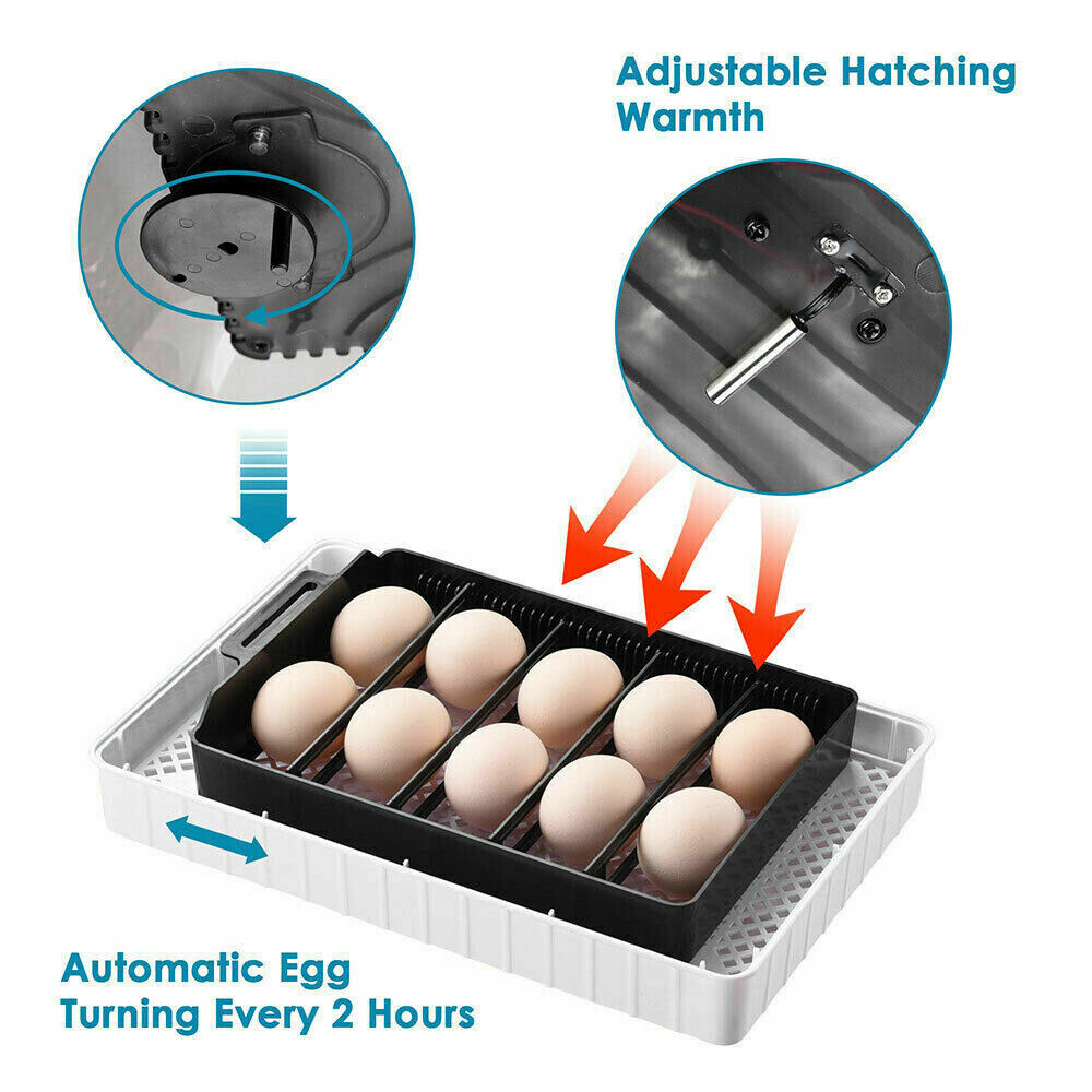 12 Eggs Mini Visual Egg Incubator Digital Egg Incubator w/Automatic Turning