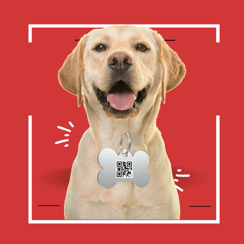 QR for pet identification