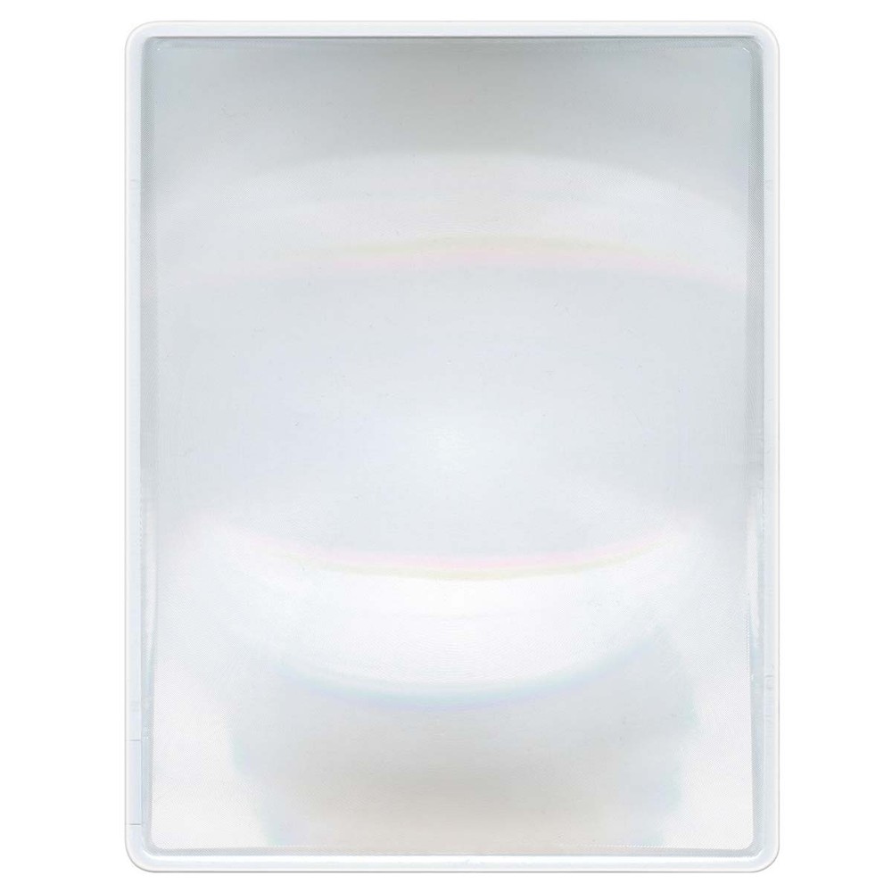 Full Page Magnifier