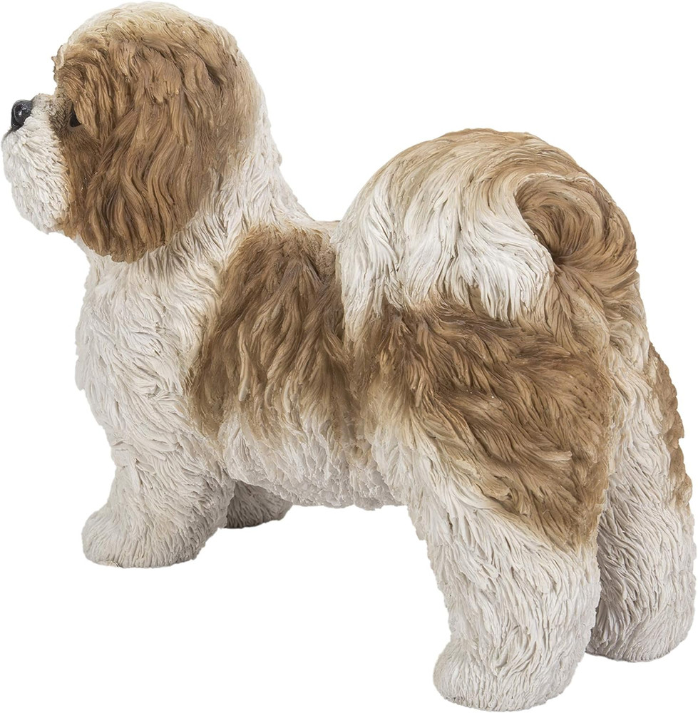 Gift Brown & White Standing Shih TZU