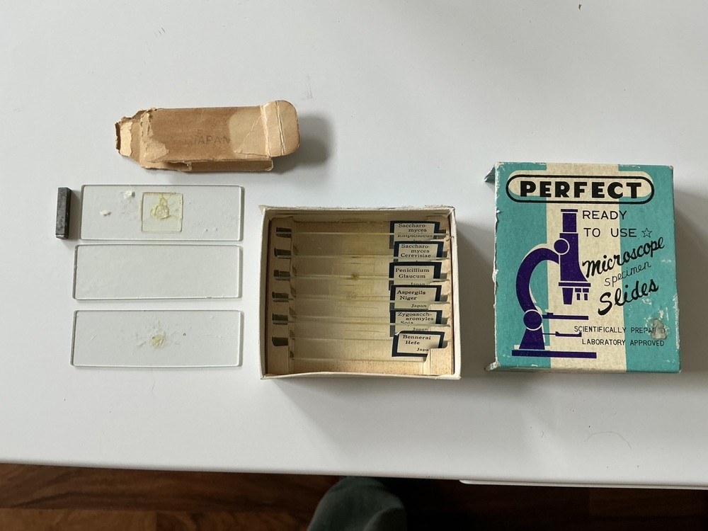 Rare Find-Sans & Streiffe Microscope in Case W/Slides