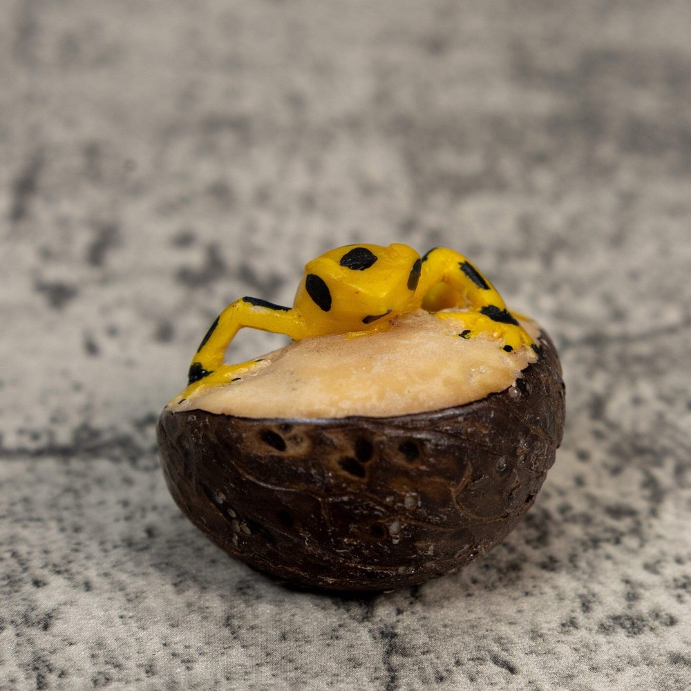 Golden Frog Tagua Carving