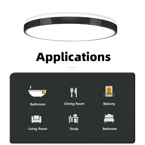 24W LED Flush Mount Ceiling Light with Bluetooth Speaker & Remote Control, RGB C