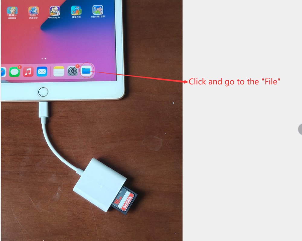 Memory Card Reader TF & SD Card Camera Reader Adapter for iPhone iPad