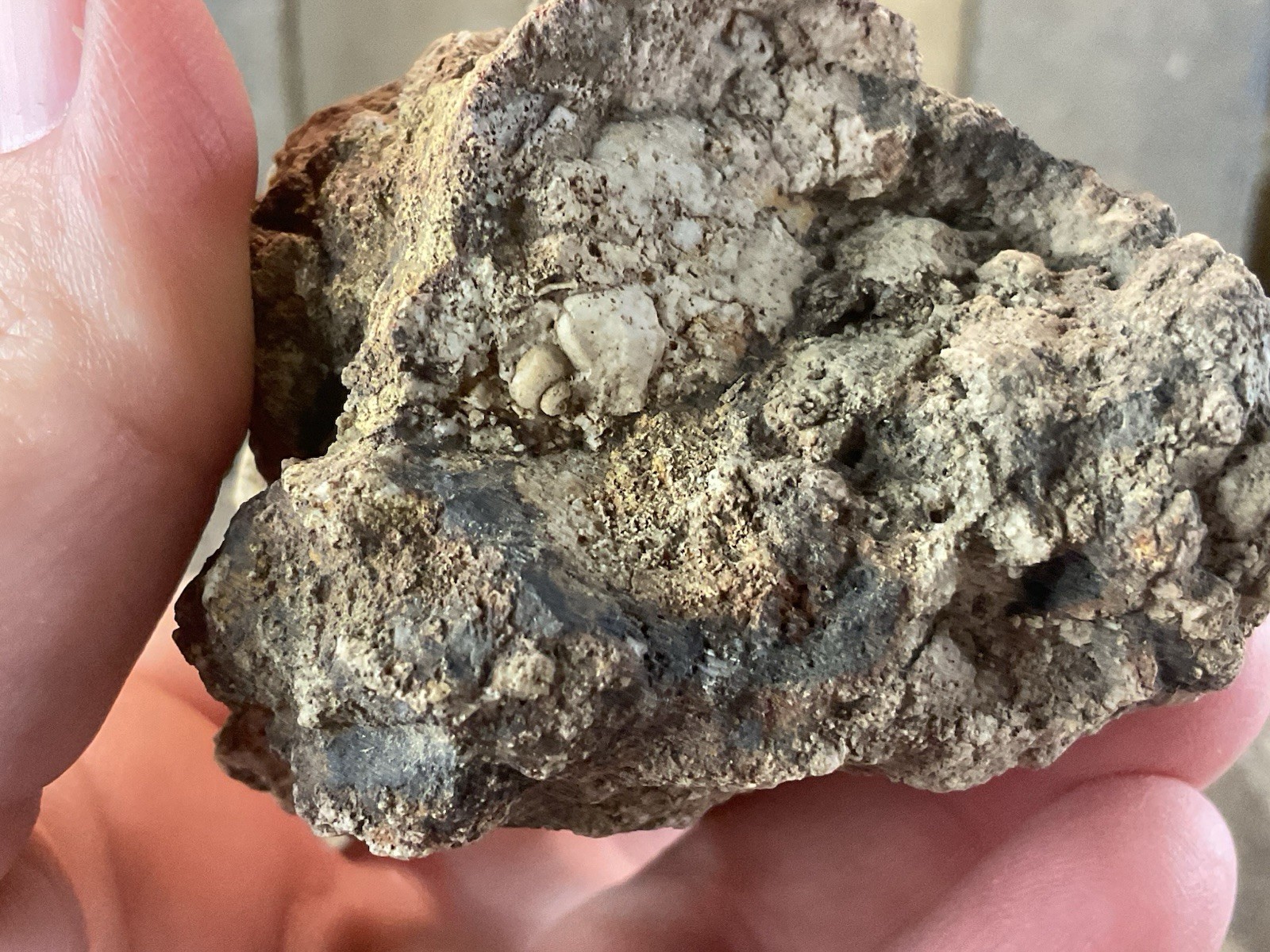 Missouri Druzy Quartz Fossilized Coral Stone Display