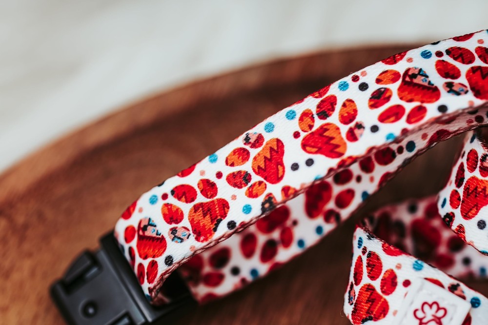 Western Paw Print Collar Large