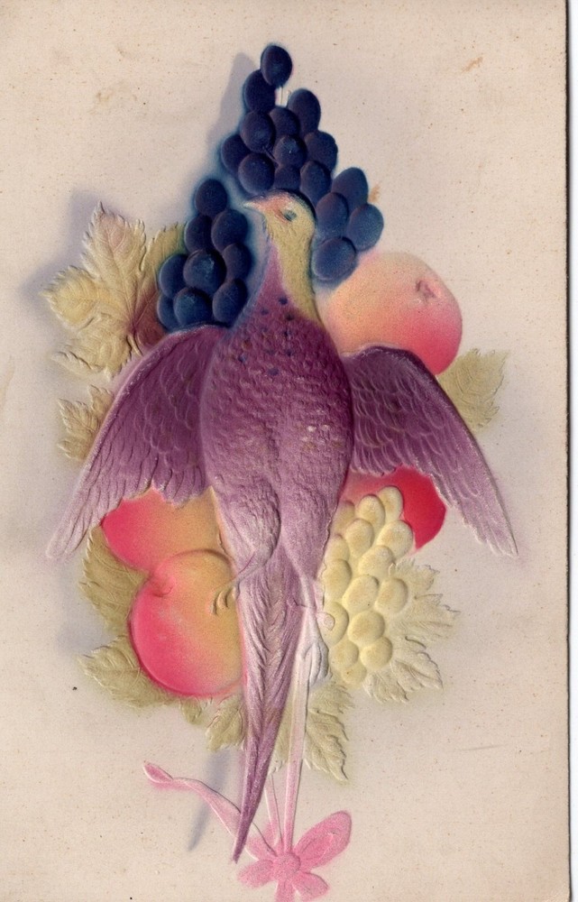 BIRD & FRUIT - PC1225
