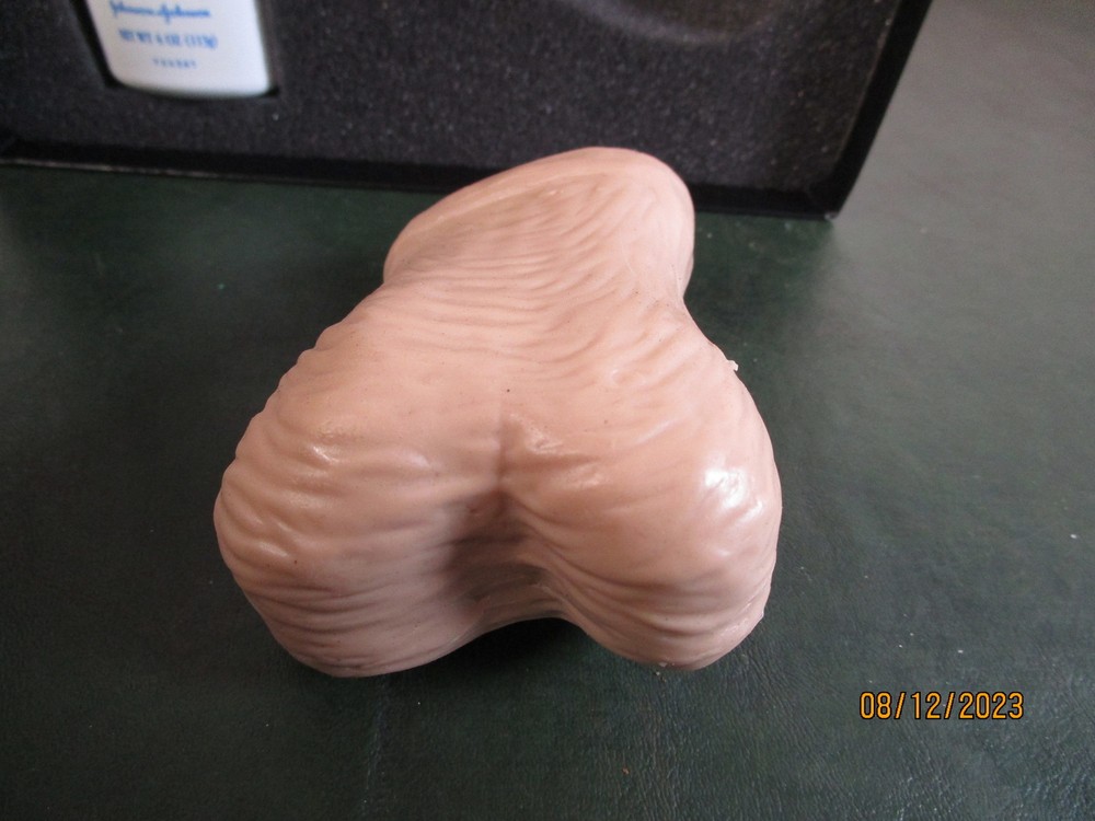 Life Form Testicles Nurse Training Set