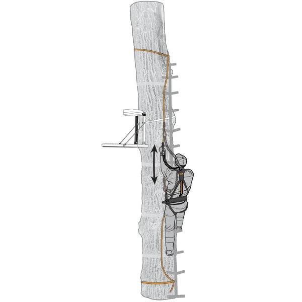 Muddy The Safe-Line