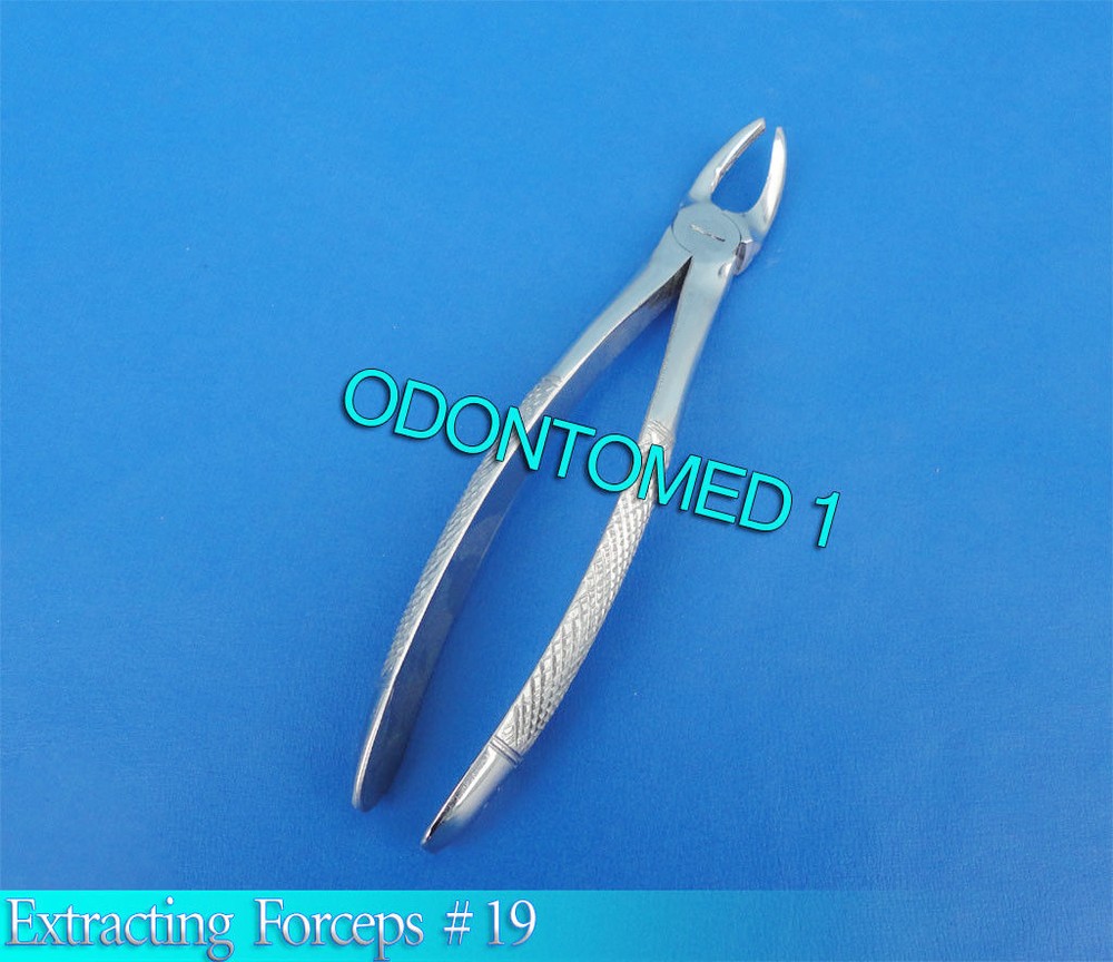 Tooth Extraction Forcep #19 Surgical Dental Instrument