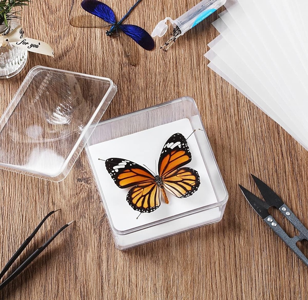 Making Insect Specimen Tools Kit, Pins,Insect Pinning Board, Kit