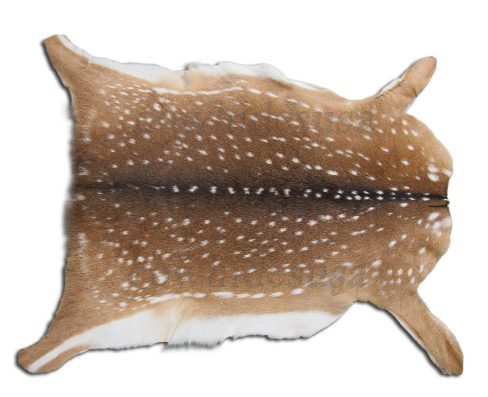 Axis Deer Skin Hide Average Size: 37" X 30" Top Grade Axis Deer Hide Top Grade