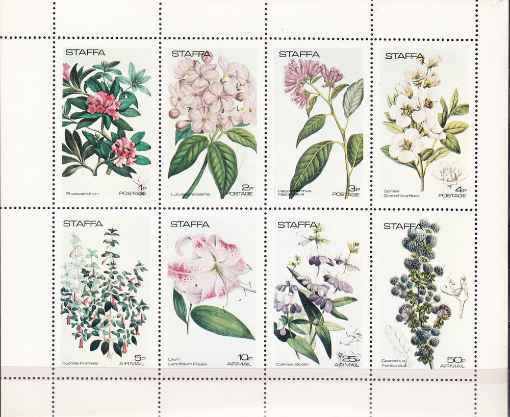 W STAFFA 005 FLOWERS