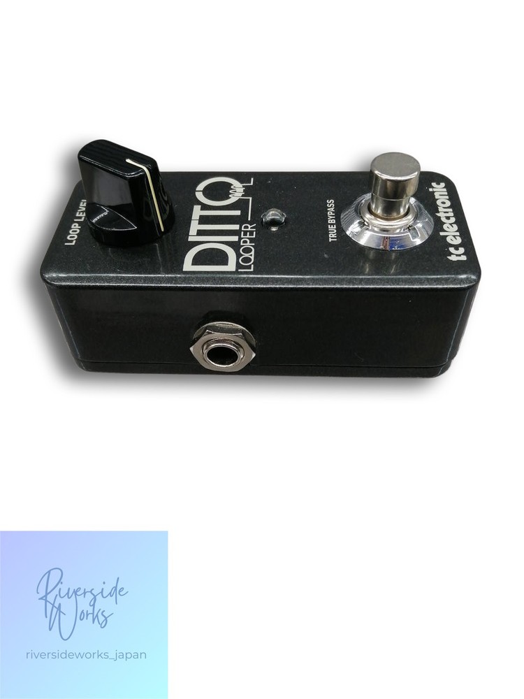 TC Electronic Ditto Looper Guitar Loop Station JP