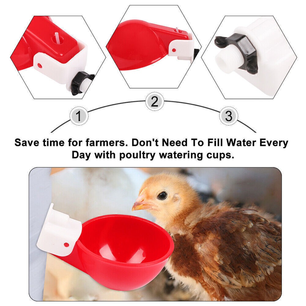 8 PCS Automatic Water Cups Poultry Drinker Waterer Chicken Duck Quail Drinking