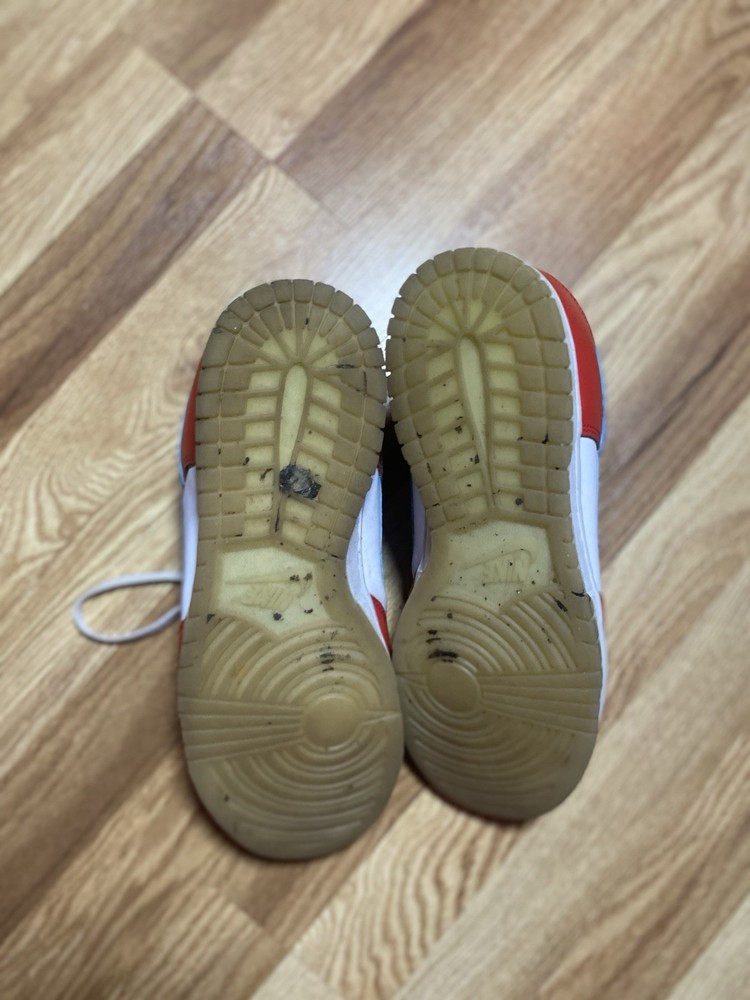 Nike SB Dunk Low Fruity Pebbles