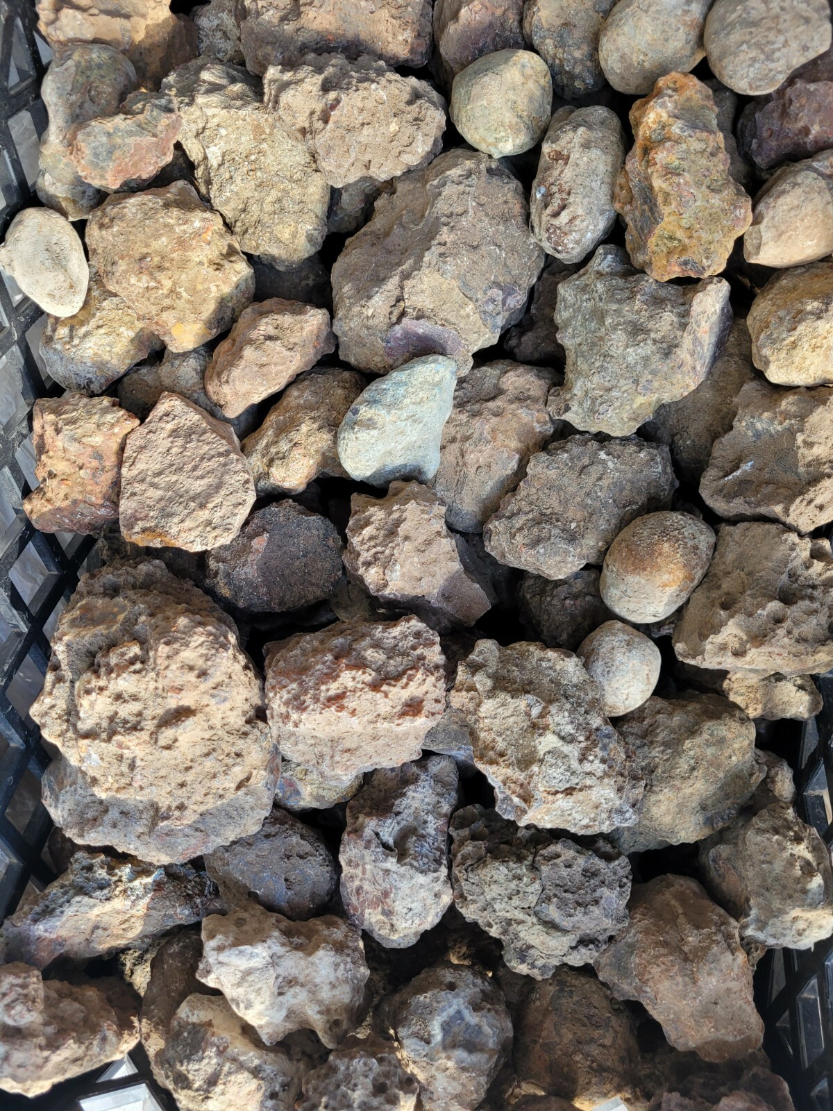 Condor agate rough small nodules 4 pounds