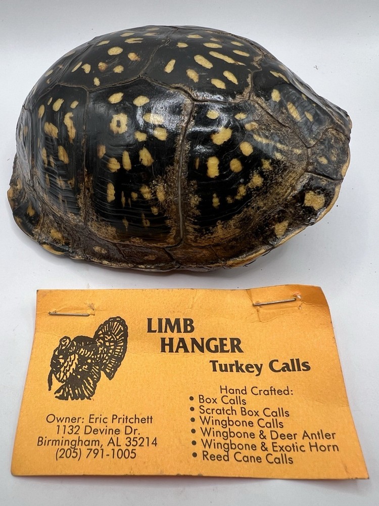 Limb Hanger “Turtle shell” Pot  Turkey call Signed And Dated 1998 Eric Pritchett