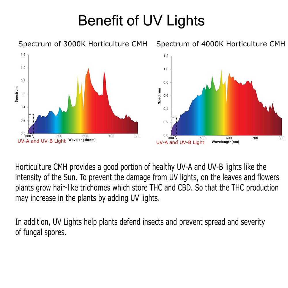 Horticulture Ceramic Metal Halide
