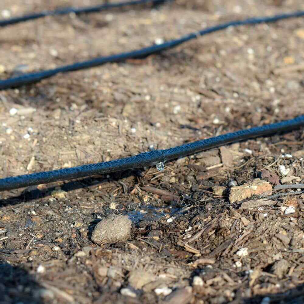 Poly Micro Drip Irrigation Tubing 0.25 in x 50 ft Emitter Line