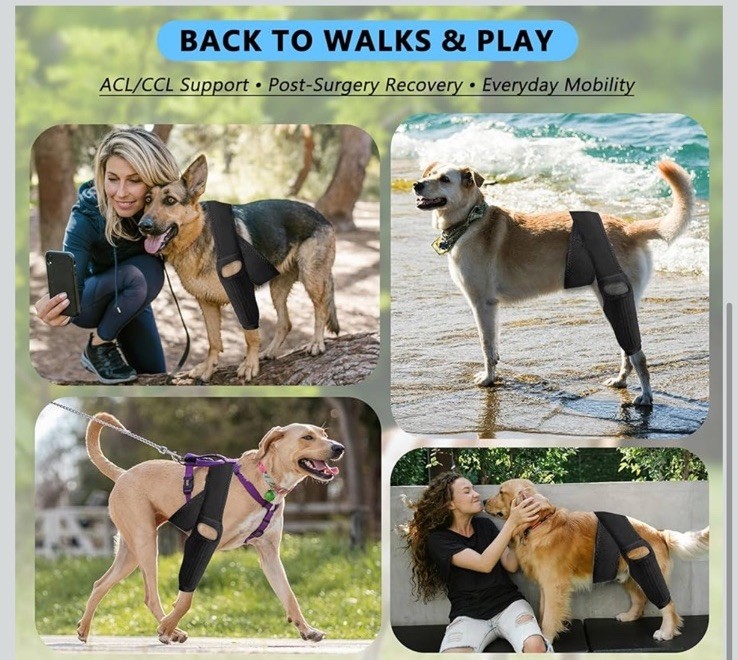 Dog Knee Brace For Torn ACL Elastic Support, Adjustable, Medium 4-Leg Universal