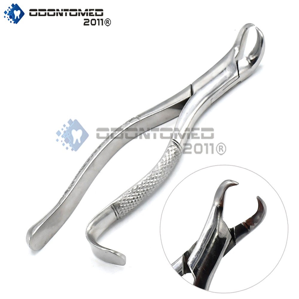 EXTRACTING FORCEPS #16 DENTAL SURGICAL INSTRUMENTS
