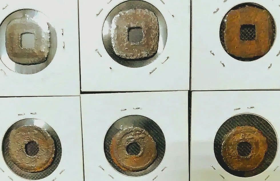 Sendai Tsuho and Hakodate Tsuho medium, small, with spruce branch