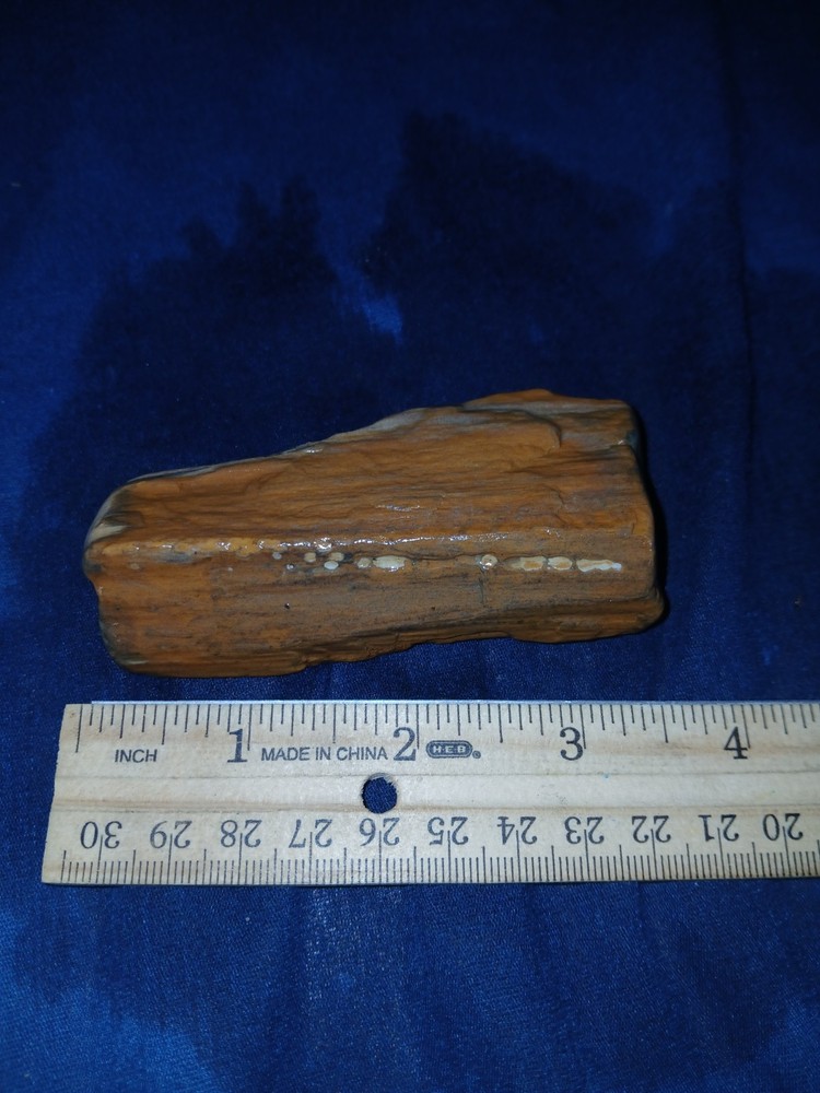 4.5 oz Texas Orange Petrified