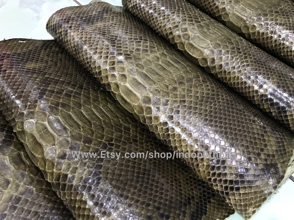 Genuine Python Leather, Exotic Snake Skin, Green SnakeSkin, Green Python Leather