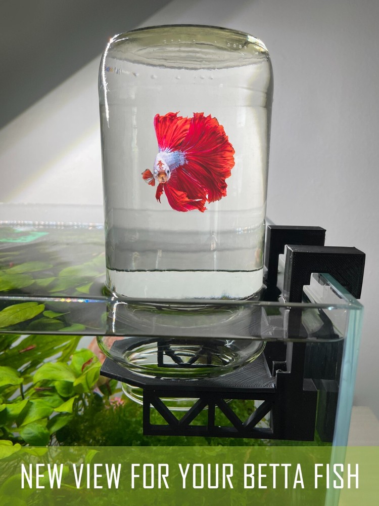Inverted Betta Tank Holder, Panoramic View for Betta Fish, 360 View for Betta