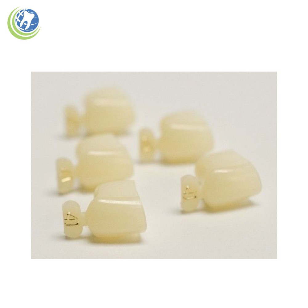 DENTAL POLYCARBONATE TEMPORARY CROWNS #41 FIRST (1ST) BICUSPIDS SMALL 5/PACK