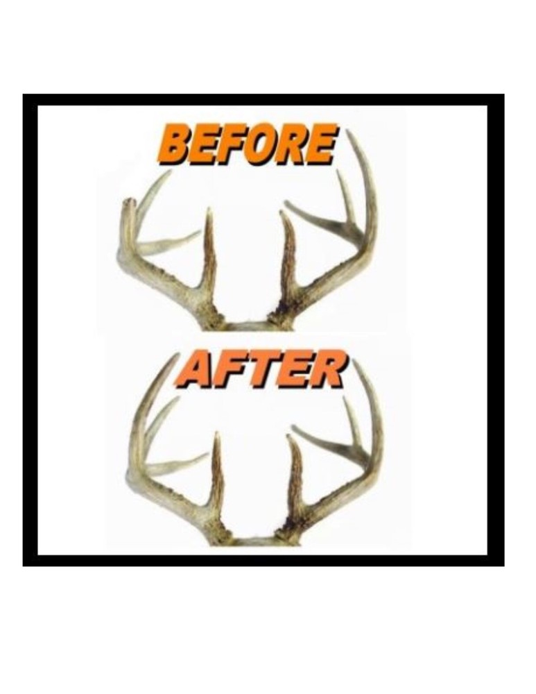 Deer Antler Art Kit - Repair - Replace Missing Tines & Points Create Lamps Trees