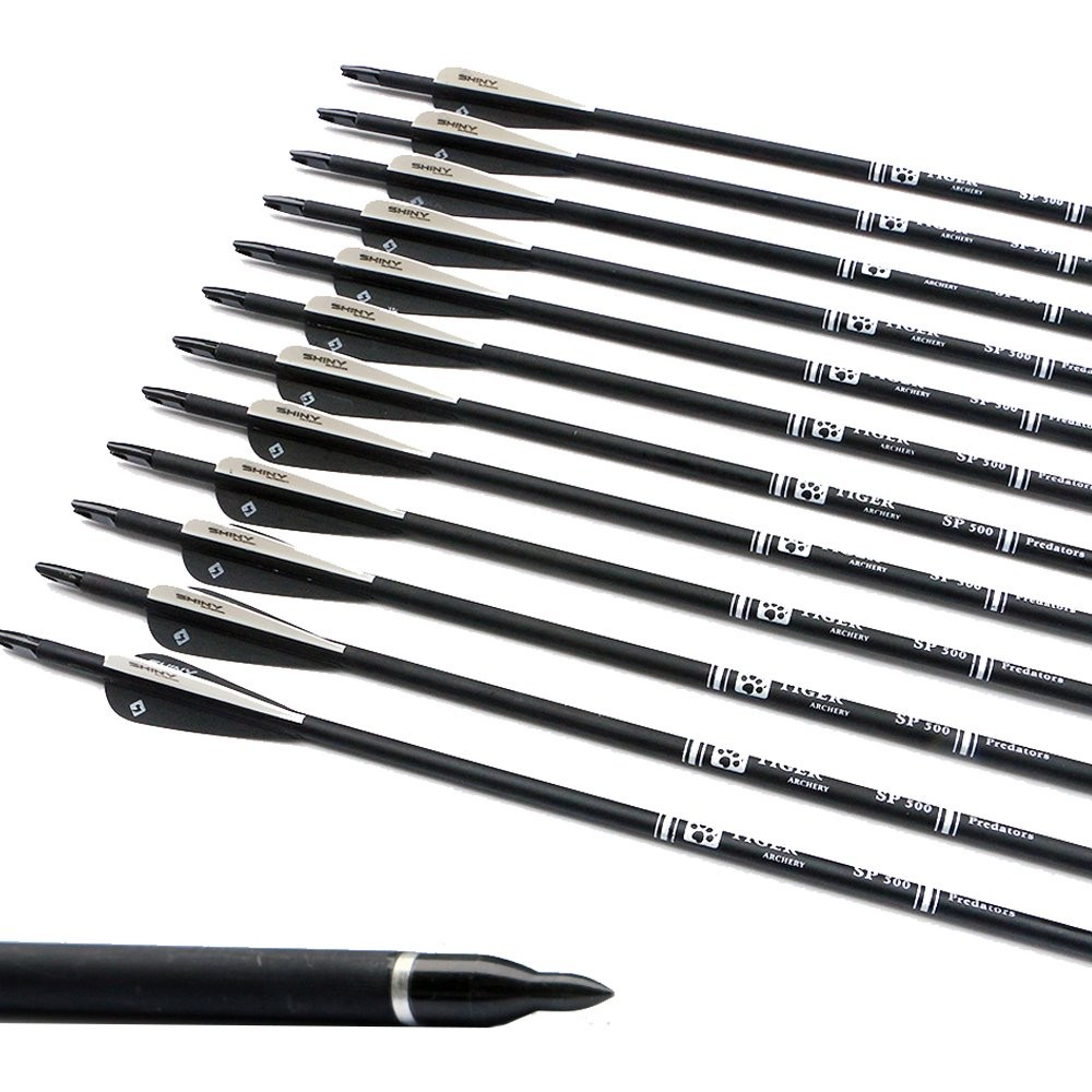 30Inch Carbon Arrow Practice Hunting Arrows with Removable Tips for Compound ...