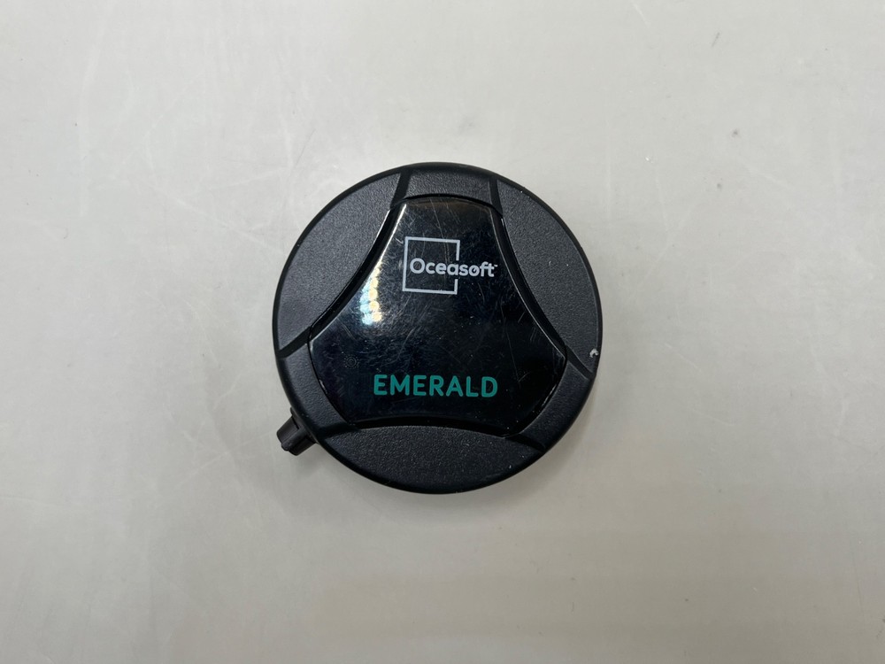 Dickson Emerald PT100 ENR.EMD.P006 Bluetooth Temperature Data Logger