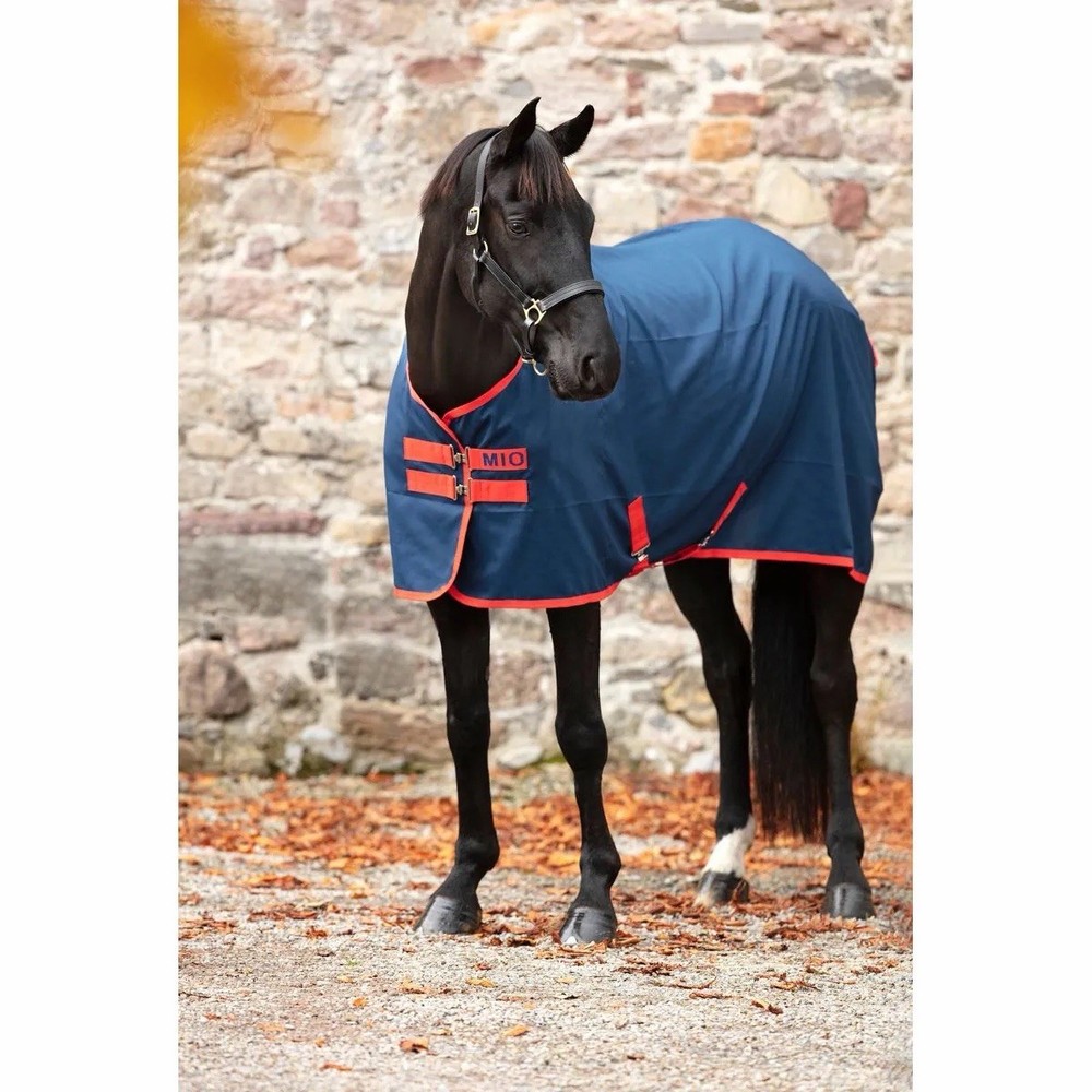Mio Stable Sheet - Navy/Red- 84”