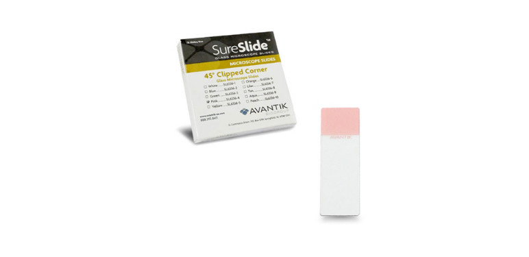 Sure Slide Clipped Corner Microscope Slide PK pk/72