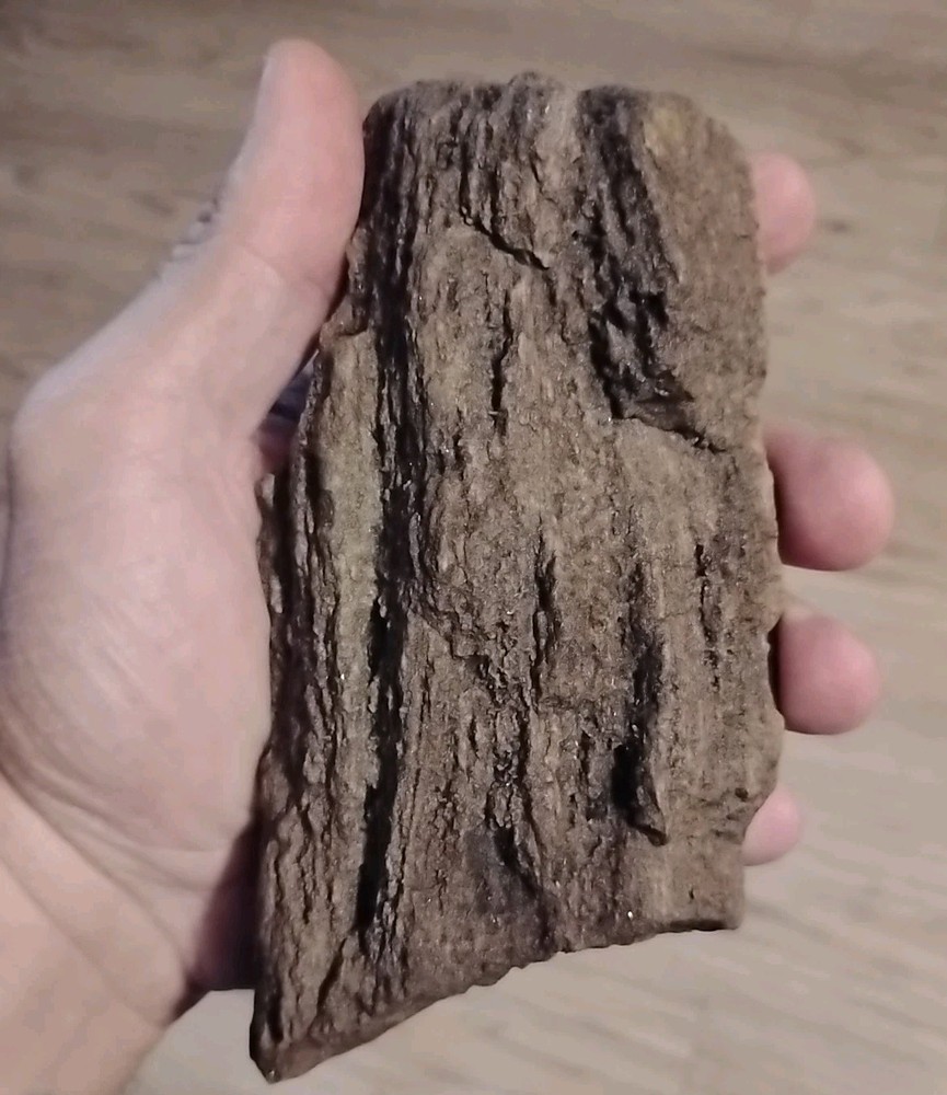 Petrified Wood 738g (Outer Bark)