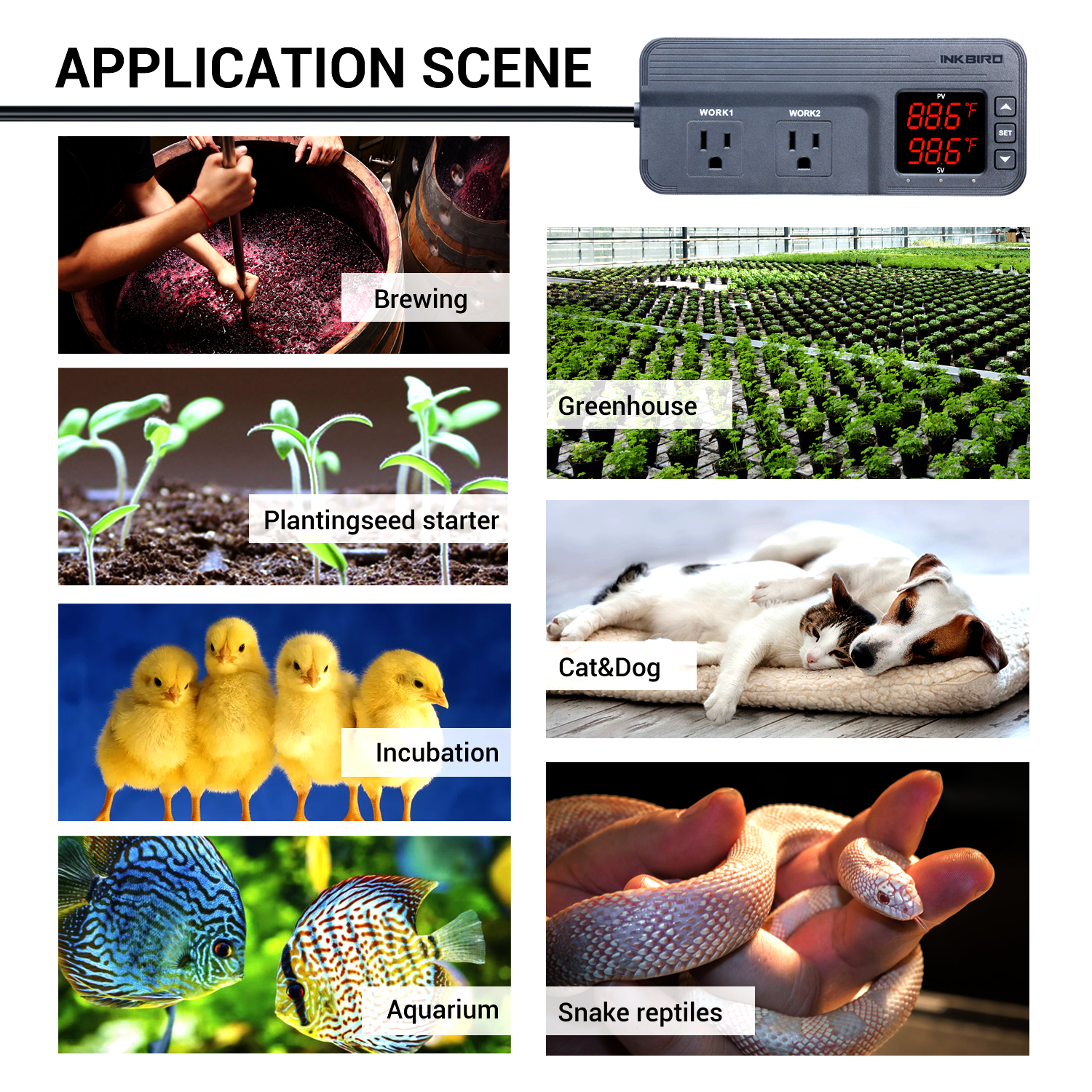 Inkbird 608T Digital Temperature Humidity Controller Greenhouse Grow Tent 110V