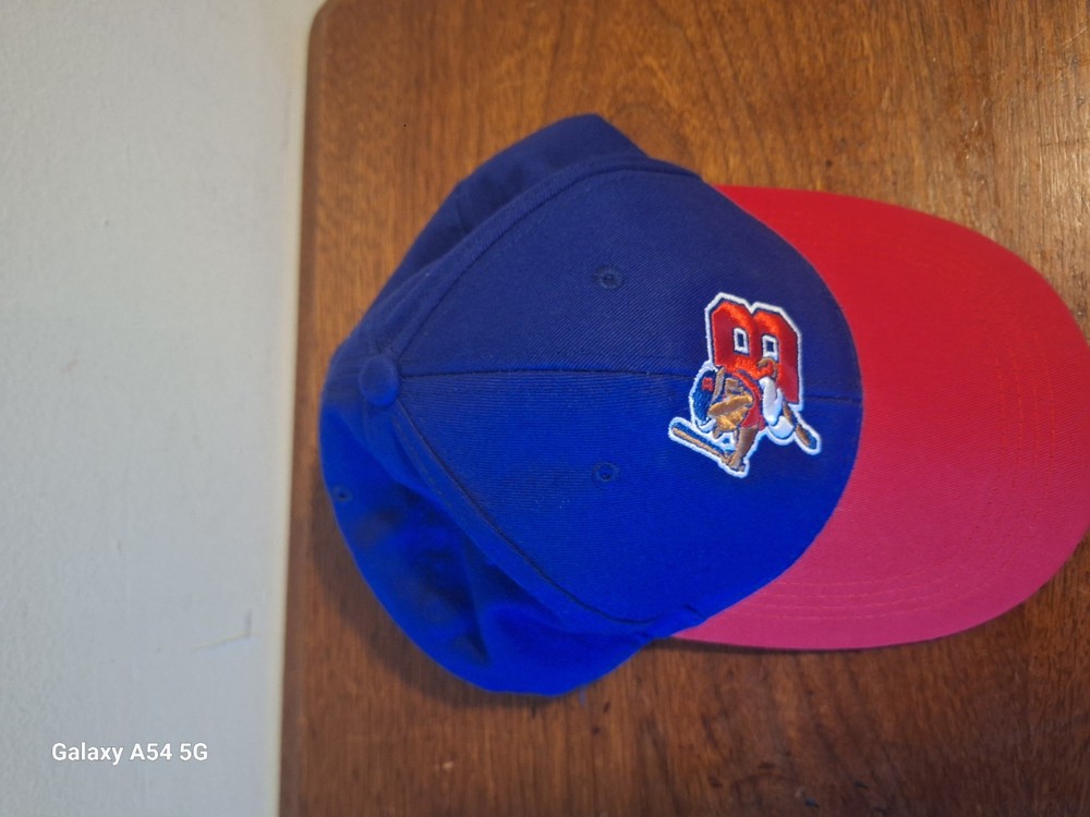Buffalo Bisons Hat Snapback Buster Bison