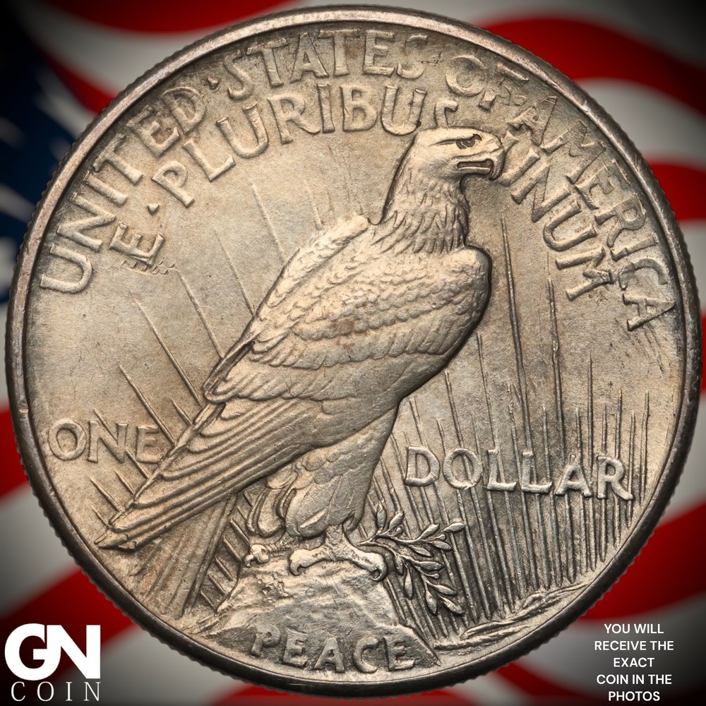 1921 Peace Dollar A9904