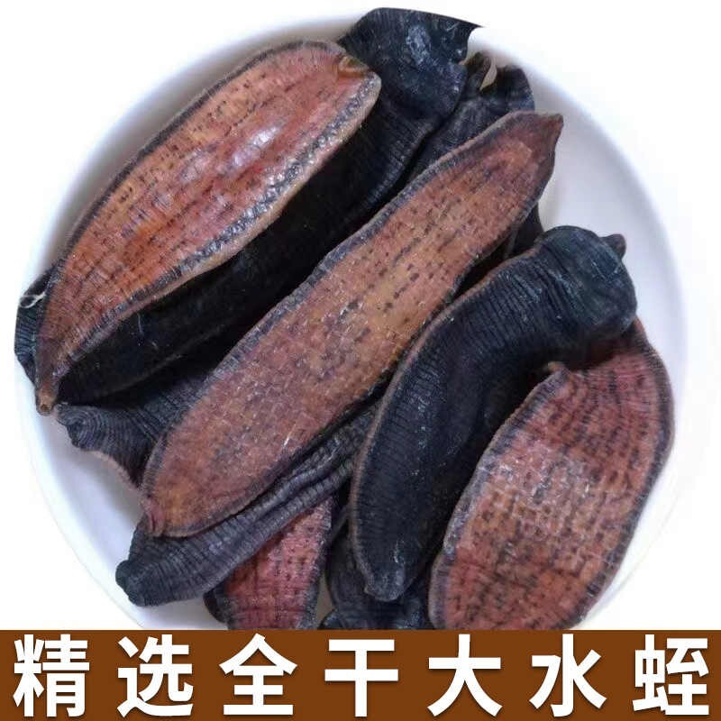 Natural Plant Longevity Recipe 泡酒料 养生长寿 宽体金边大水蛭干100克 非清水吊干