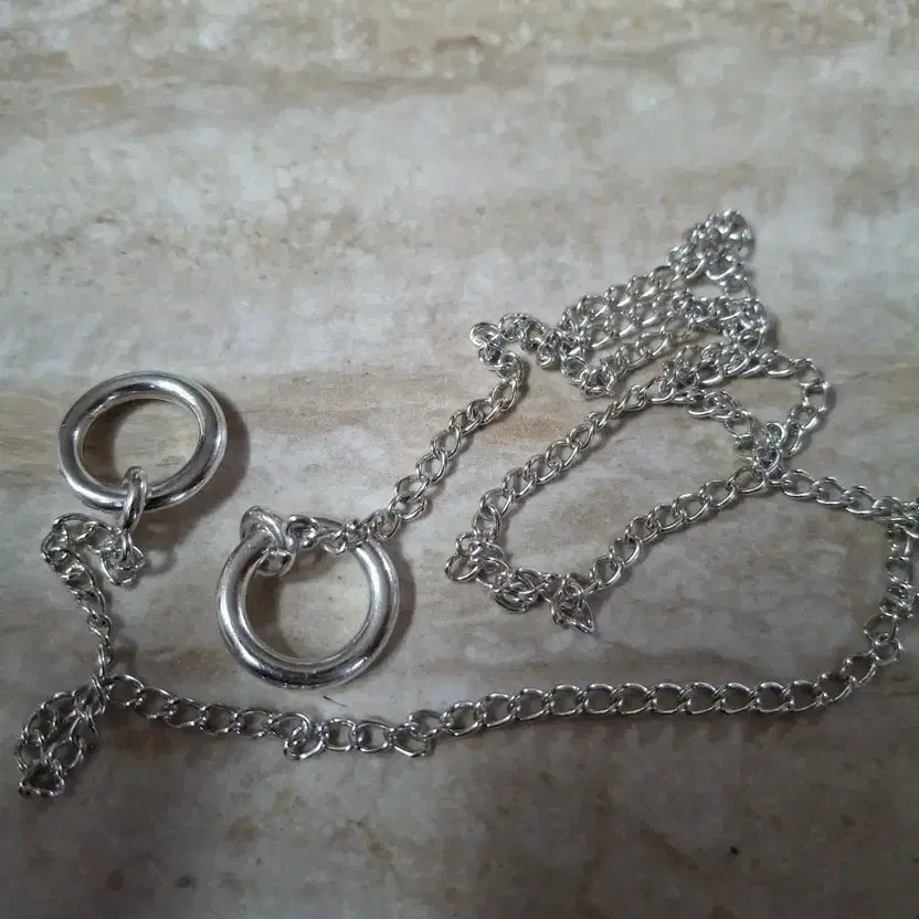 Silver Long Necklace
