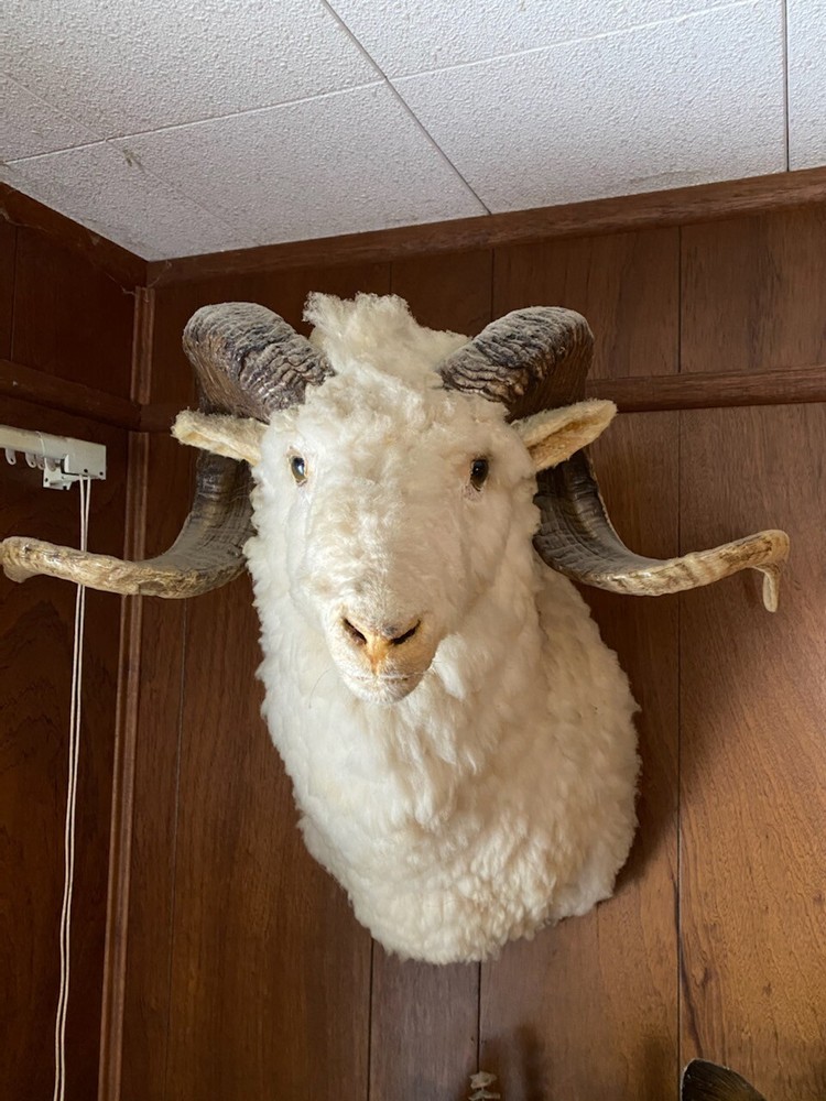 Ram Head Mount