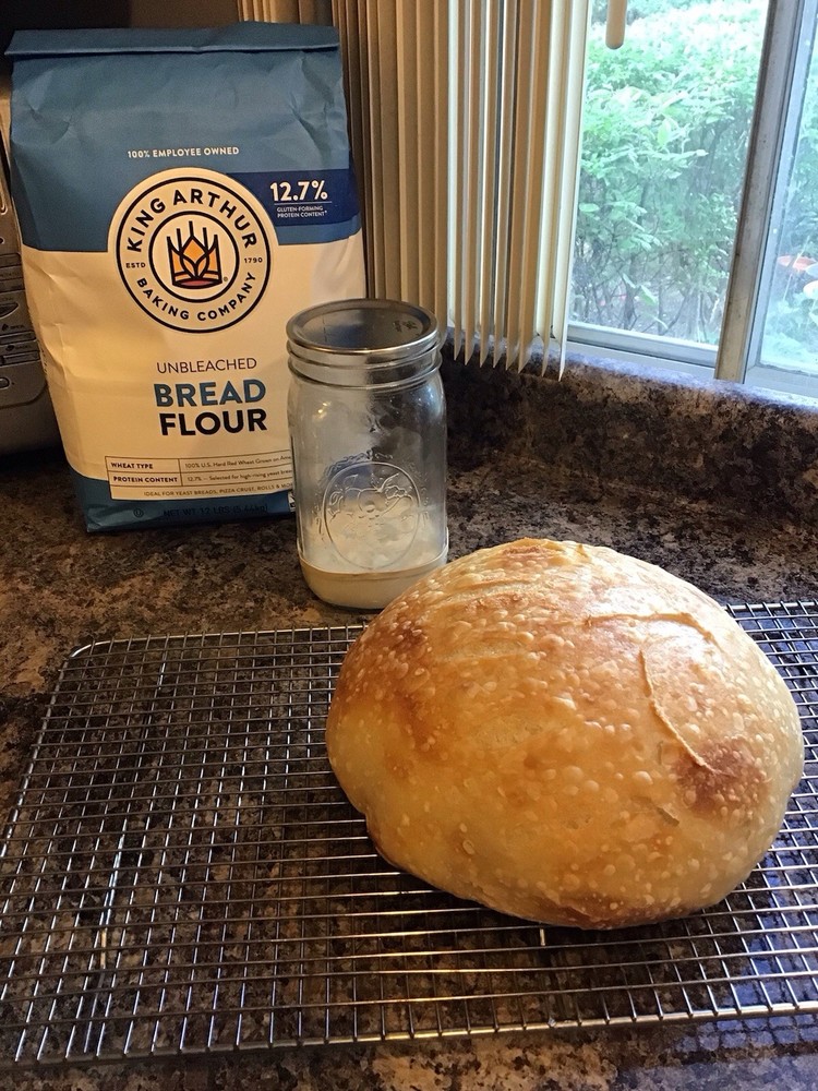 Sourdough Starter Dehydrated 20g