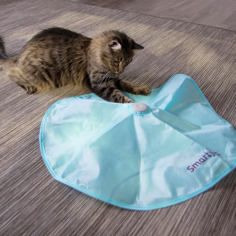 Interactive Electronic Motion Toy for Cats - A Fun Indoor Exercise Experience