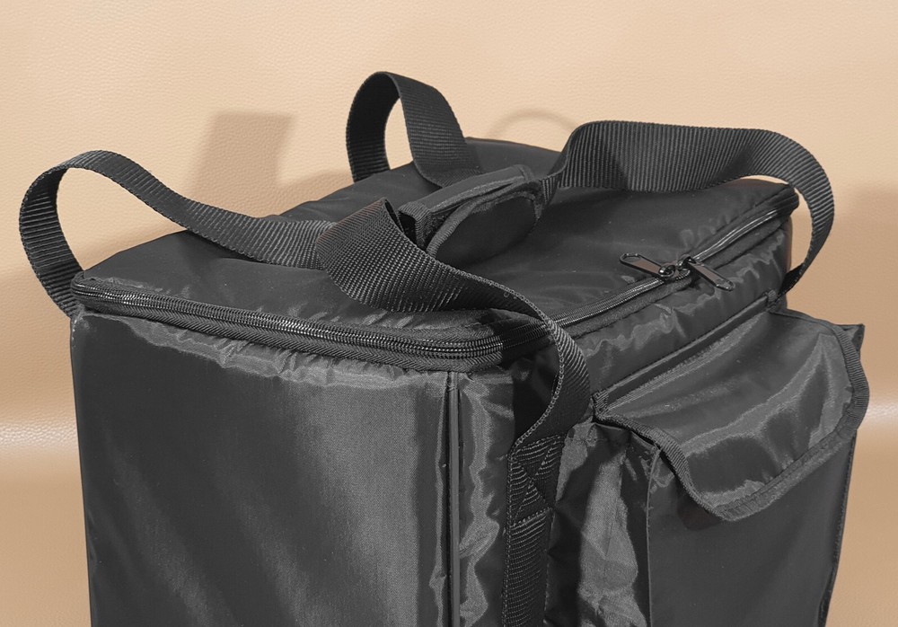 Custom padded BAG for Positive Grid Spark EDGE smart amp