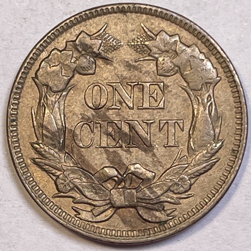 1857 Flying Eagle Cent Choice Almost Uncirculated AU+ Coin #20584