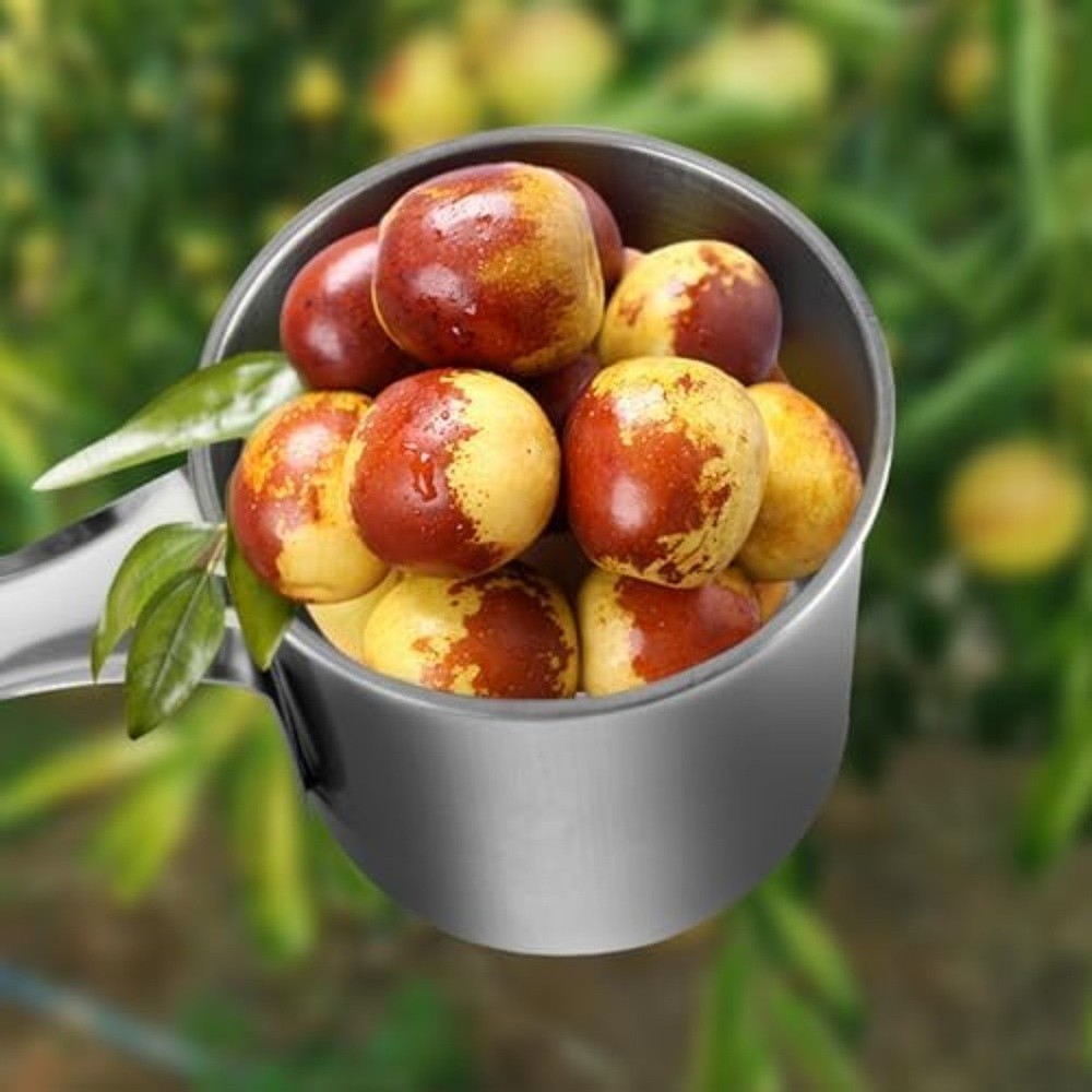 Adjustable Height Fruit Picking Tool Rustproof Lightweight Garden Tool