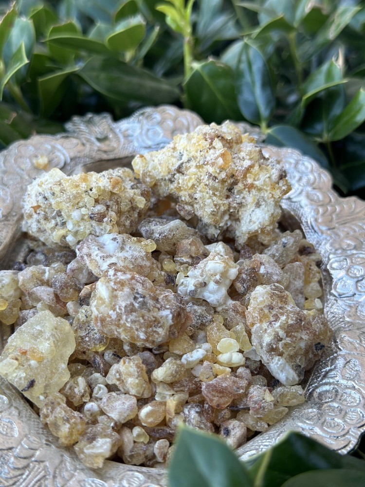 Frankincense (kondar) الكُنْــــــــدُر أفضل انواع لبان